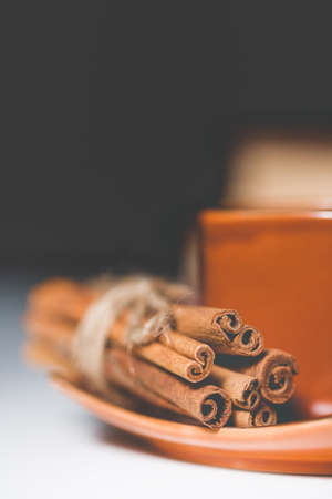 Cup of Hot tea with cinnamon sticks, lemon and star aniseの写真素材