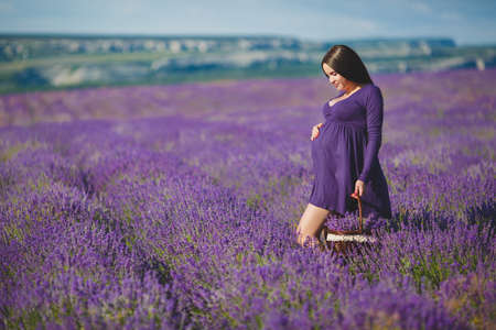 long-haired pretty pregnant woman in a lavender field with basket of lavender flowers. Young romantic pregnant woman picks some lavender from purple lavender field. In dress, bouquet of lavenderの写真素材
