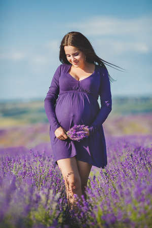 long-haired pretty pregnant woman in a lavender field with basket of lavender flowers. Young romantic pregnant woman picks some lavender from purple lavender field. In dress, bouquet of lavenderの写真素材