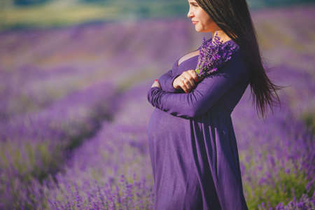 long-haired pretty pregnant woman in a lavender field with basket of lavender flowers. Young romantic pregnant woman picks some lavender from purple lavender field. In dress, bouquet of lavenderの写真素材