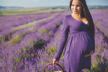 long-haired pretty pregnant woman in a lavender field with basket of lavender flowers. Young romantic pregnant woman picks some lavender from purple lavender field. In dress, bouquet of lavenderの写真素材