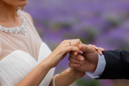 Closeup portrait of the bride and groom in wedding attire, enjoying the love Sunny summer day on the...