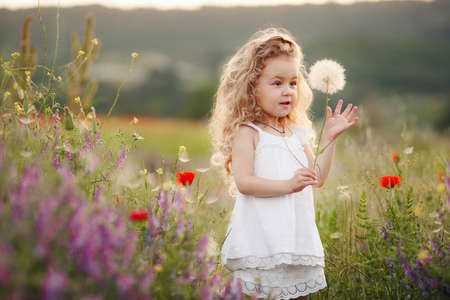 Cute baby girl in a flowery summer field. Little cute girl with thick long curly hair, dressed in a summer white dress, holding a large white dandelion, one plays in green field among bright flowers on a warm summer day.の写真素材