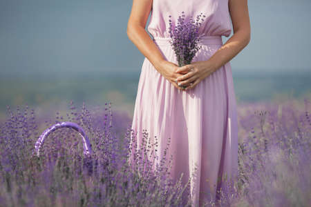 A slim young woman, dressed in a pink long dress, walking through a huge lilac blooming field of lavender collecting in a basket fragrant spring flowers and enjoying nature and a warm summer day.の写真素材