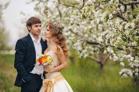 Bride and groom in the lush spring garden. The elegant groom and the beautiful bride, in wedding dresses walk in the wedding day in the spring in the garden blossoming in the white flowers, holding in hand a bouquet of wedding flowersの写真素材