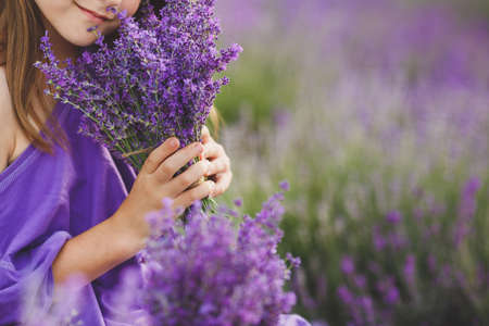 Little girl, brunette, wearing a lilac dress, walking in the summer on a large field of blooming lavender scented, holding a large bouquet of flowersの写真素材