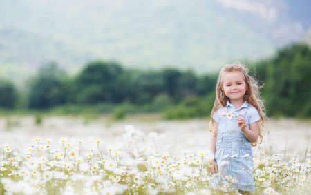 Cute little girl with brown eyes and curly long hair, dressed in light blue overalls and a blue shirt with white polka dots, posing on a blooming white daisies field in a mountainous area in the summerの写真素材