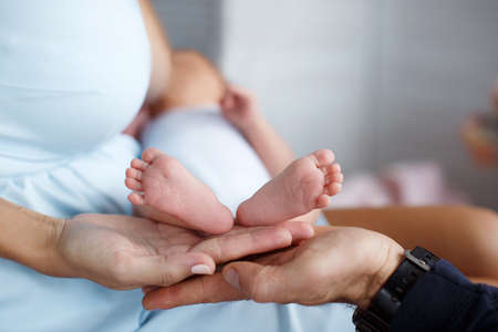 Parts of the body, pink little feet a newborn baby lying on the big hands mom and dad, the child lies on his mother's lap, nursing him at her breast, a woman dressed in a white sundress, the concept of family happinessの写真素材