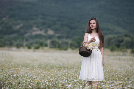 Beautiful girl enjoying the nature of white daisies, enjoying nature. Sun Light Field with Blooming Flowers, Sun Light. Young happy woman on spring meadow, countrysideの写真素材