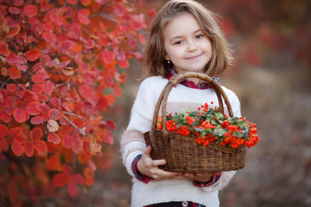 A preschool girl with a basket of flowers walks alone in an autumn park at sunset among trees and bushes with yellow and red leaves. Happy child on a walk in the park on a background of bright autumn foliageの写真素材