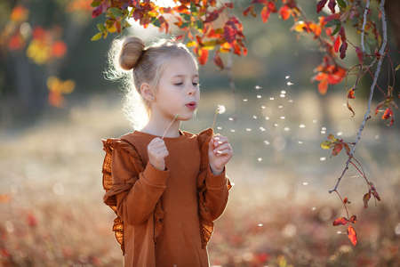 Cute girl poses for the photographer in a beautiful autumn park at sunset, walking alone. Little fashionista. Little girl happy smiling with autumn leaves. Girls autumn style.Little girl excited about autumn season.Autumn warm season pleasant moments.の写真素材