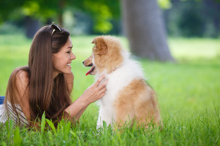 Beautiful woman in a summer park with her pet, collie puppy, outdoors on a sunny day. Smiling young attractive woman playing with cute collie puppy in summer garden or city park outdoors on green grassの写真素材