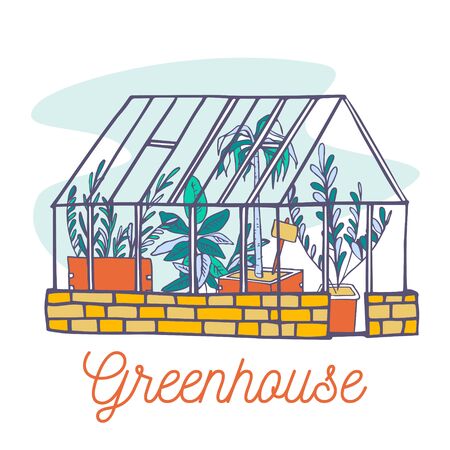 Design template with greenhouse and different plants insideのイラスト素材
