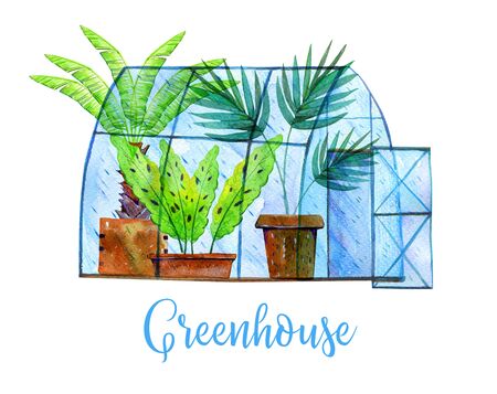 Glass greenhouse with palm trees and plants inside. Hand drawn watercolor sketch illustration on white backgroundの写真素材