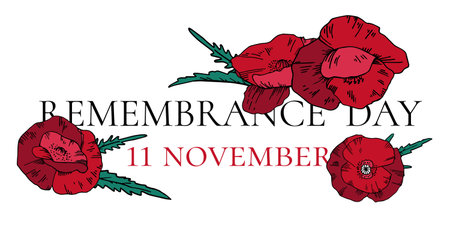 11 November design template with red poppy flowers and title. Hand drawn vector sketch illustration on white backgroundのイラスト素材
