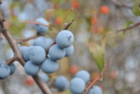 Beauty of nature inspiring to do beauty!の写真素材