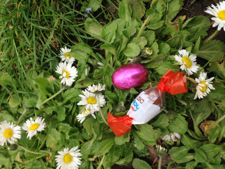 It's a spring time! Time of flowers, healthy food and easter!の写真素材