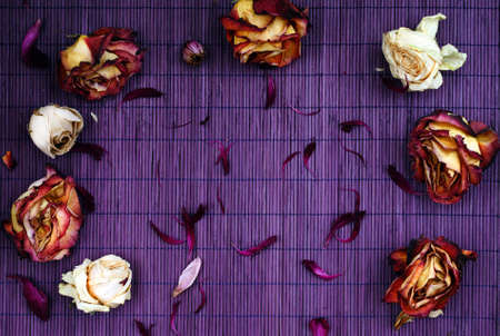 Frame of dried flowers, pink, red roses and green leaves on a white backgroundの写真素材