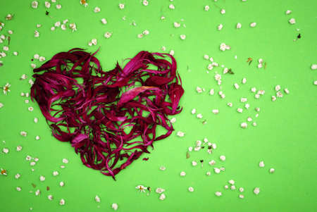 Repeatable petals in red on a green backgroundの写真素材