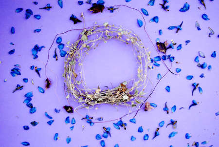 Frame of dried flowers, pink, violet purple backgroundの写真素材