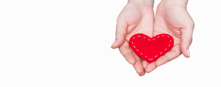 Fabric red heart on the palms, isolated on a white background. Copy space. The concept of love,...