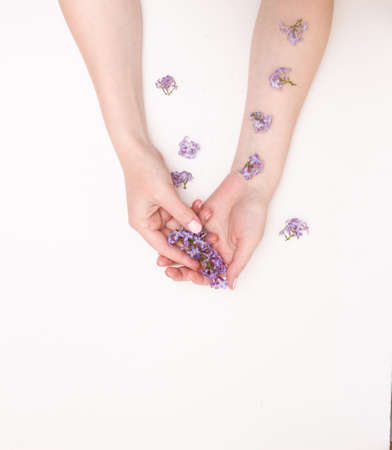 Concept of hand care, anti-wrinkle, anti-aging cream, Spa. Beautiful female hands with lilac flowers on a white background, top view, free space for text.の写真素材