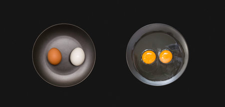 Dark and light chicken eggs and white and yolk on plates, black background. Support for equal rights...