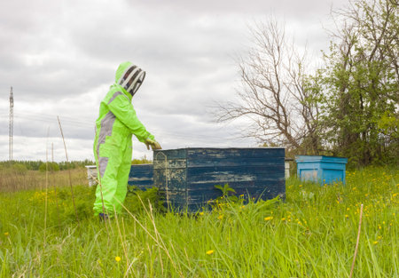 A man in a beekeeper's protective suit at the apiary. Bright costume, protection from bees, honey...