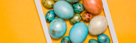 Colored Easter eggs in a wooden white frame on a colored background. Free space for text. Happy Easter!の写真素材