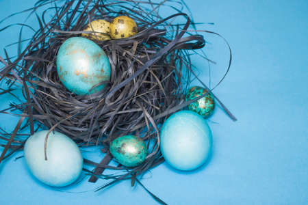 Blue and gold chicken and quail Easter eggs in a nest on a blue background. Free space for text. Happy Easterの写真素材