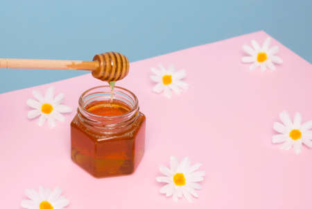 Liquid bee honey in a glass jar, honey flows off the wooden dipper. Pink and blue background, chamomile flowers. Copyspaceの写真素材