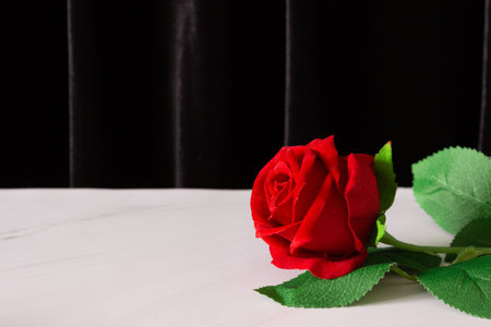Red rose on a white table and black background, free space for text.の写真素材