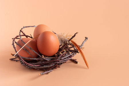 Chicken eggs in a nest on a beige background. Farming, Easter. Free space for text