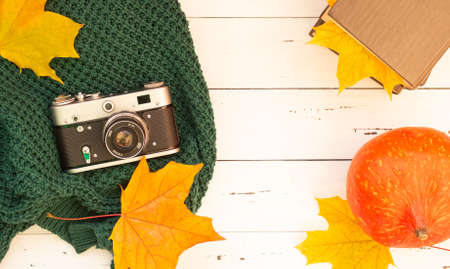 Autumn flatley, a rare camera, autumn leaves and a knitted thing. Free space for textの写真素材