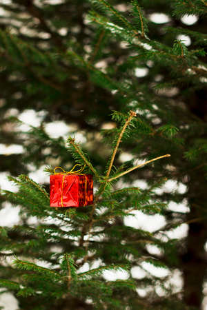 Red christmas tree toy gift on christmas tree. Vertical photo. Copyspace.の写真素材