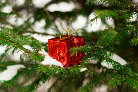 Red gift on christmas tree in snow. Horizontal photo. Christmas conceptの写真素材