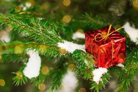 Red christmas gift in snow on christmas tree with lights. Copyspaceの写真素材