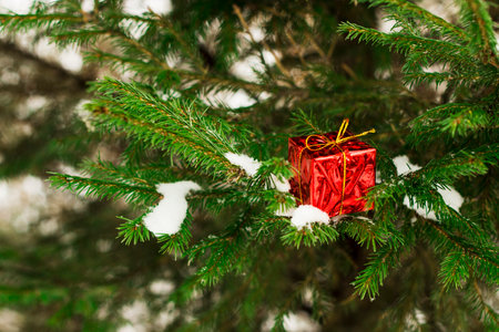 Red Christmas balls,gift boxes and fir tree on snowの写真素材
