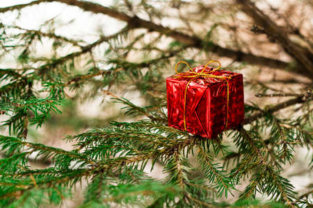 Christmas background with fir tree brunch and red decorations. Copy space, backgroundの写真素材