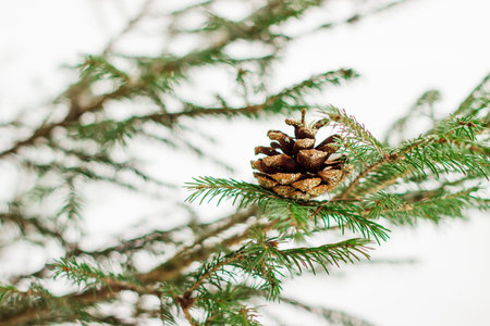 Handmade Christmas tree toys made of pine cone. Copyspace