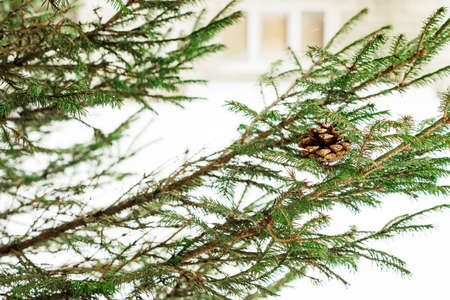 Fir-tree toy in the form of the cone with an ornament, Christmas toy concept, copyspaceの写真素材