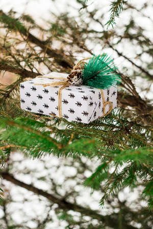 White box of present under the Christmas tree in the forestの写真素材