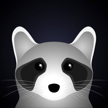 Raccoon. Flat design.のイラスト素材