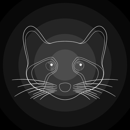 linear black raccoon.のイラスト素材