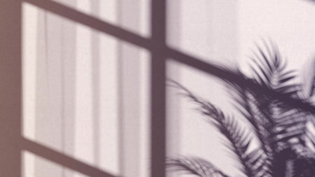 Gray window and plant shadow game silhouette in room, 3d rendering. Sunlight shady overlay of palm and jalouse dip. Soft umbra or shade blurred effect in interior space template.の写真素材