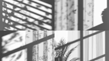 Game of shadow with curtain and trees silhouette set, 3d rendering. Gray abstract shadows fall or...
