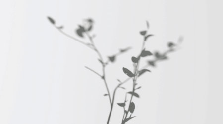 Abstract shadow branch on wind background