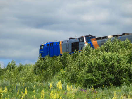 Overgrown railway. Train on an overgrown railroad. Ust-Kamenogorsk (Kazakhstan)のeditorial素材