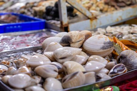 closed beige seashells lie on a metal tray on a fish market counterの写真素材