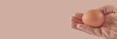 chicken egg lies on palm, eggshell color background, place for text, banner conceptの写真素材
